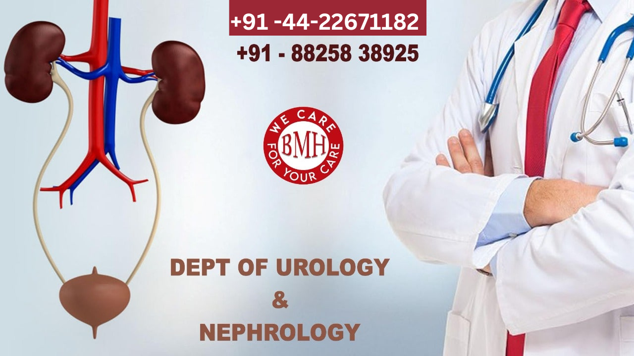 Nephrology and urology